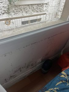 PHOTO-2024-04-26-10-23-56 2